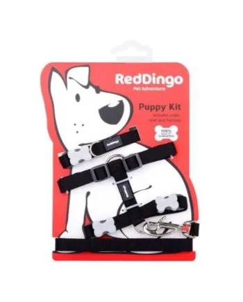 Red Dingo Hvalpesæt  Sort