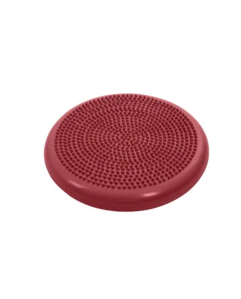Rehab Physio Tactile Balance Discus  33 Cm