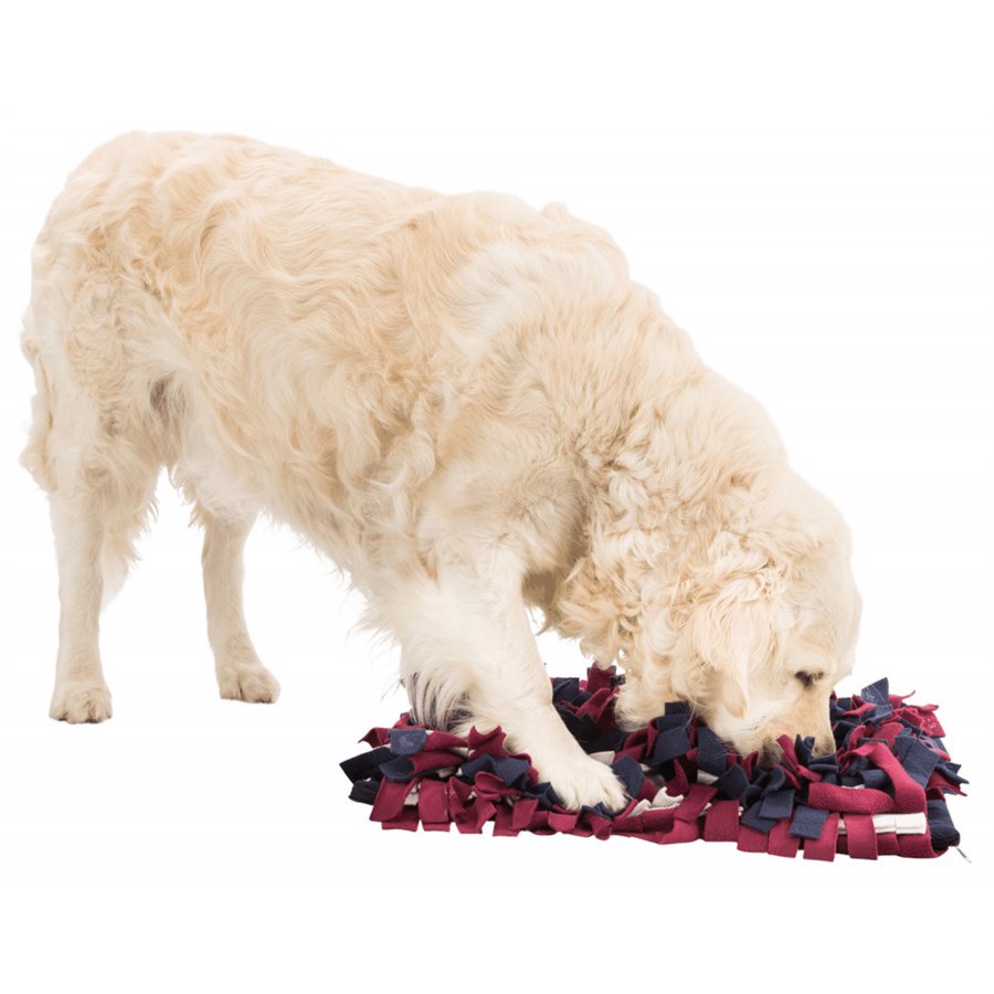 Snusetæppe Til Hunde 50 34 Cm