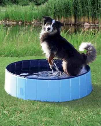 Vandbassin Til Små Hunde  80   20 Cm