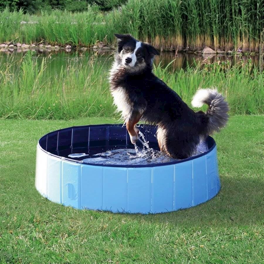 Vandbassin Til Små Hunde 80 20 Cm