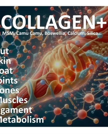 Vitapetz Collagen  300g