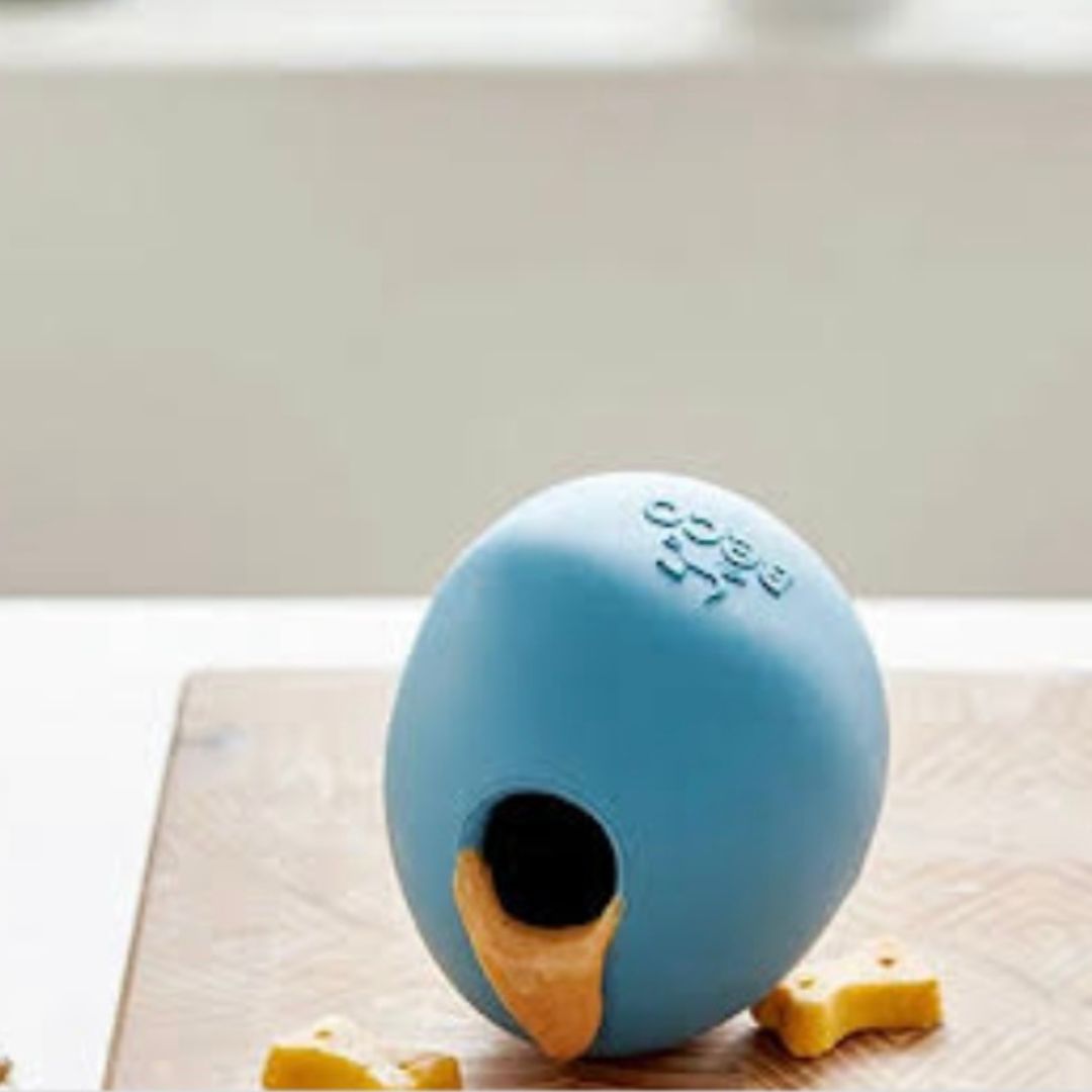 Aktivitetsbold   Rund Blå