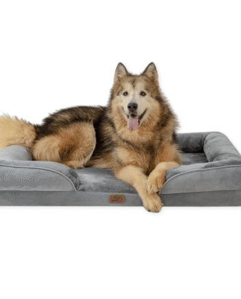 Bedsure Ortopædisk Hundeseng