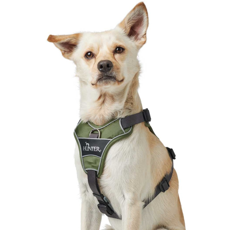 Hunter Divo Sele  Grøn Grå