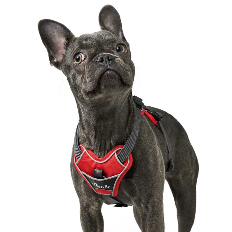 Hunter Divo Sele  Rød Grå