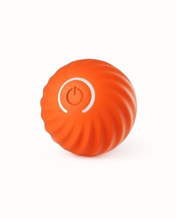 Interaktiv Legebold Til Hunde