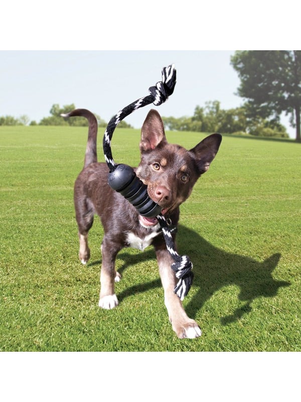 Kong Dog Toy Extreme Dental Rope Medium