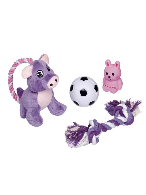 Nobby Hvalpe Starter Set Legetøj