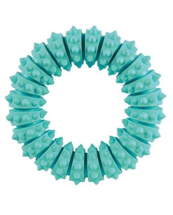 Trixie Denta Fun Ring Tyggelegetøj Af Gummi Med Mintsmag 12cm